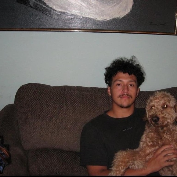 Canon Silver PowerShot A570 IS Digital Camera - Picture 7 of 7